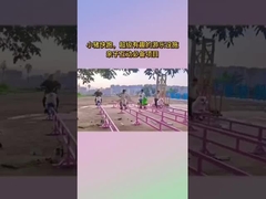 Scenic Area Non Powered Amusement Equipment, Internet Celebrity Little Pig Run Amusement Park Childr