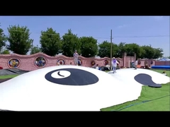 Panda Jumping Cloud Inflatable Trampoline for Indoor Playgrounds