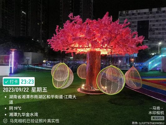 Customizable Interactive Blossom Tree Swing Playground Equipment Low Maintenance Easy To Clean
